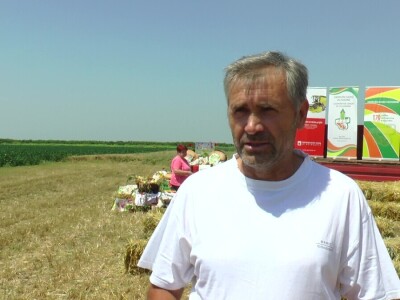 Vojvođanski paori očekuju skromnu zaradu na pšenici