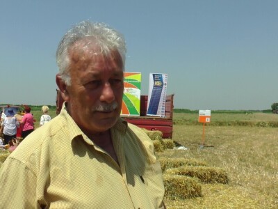 Vojvođanski paori očekuju skromnu zaradu na pšenici