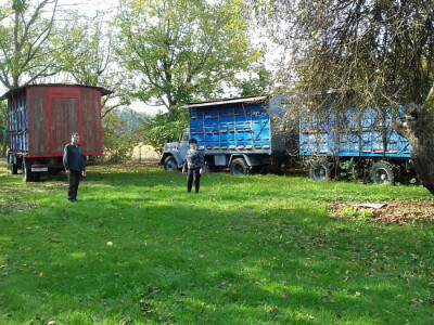 Pčele se polako pripremaju za zimski odmor