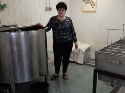 Kao djevojčica Marija se jako bojala pčela, a onda postala pčelarica