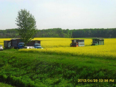 Pa pčelari košnice drže na tim poljima