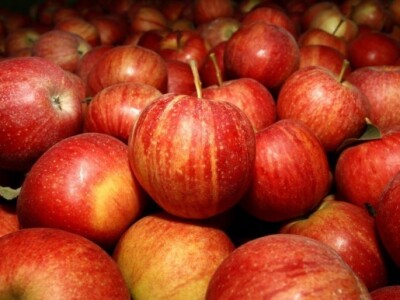 Mladi voćar Stjepan Dumančić Mladi voćar Stjepan Dumančić