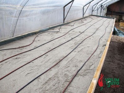 Projekt &quot;Volim ljuto&quot;