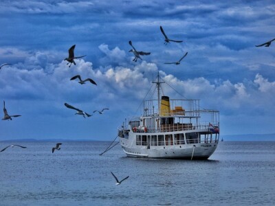 Volim svoju županiju