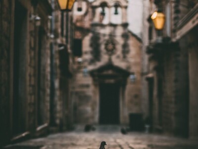 Volim svoju županiju