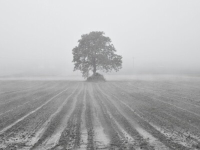 Volim svoju županiju