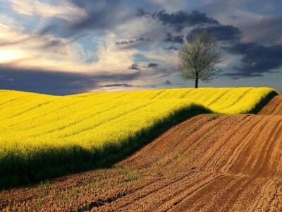 Volim svoju županiju