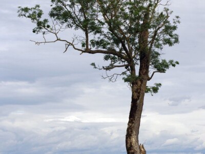 Volim svoju županiju