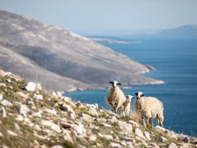 Volim svoju županiju
