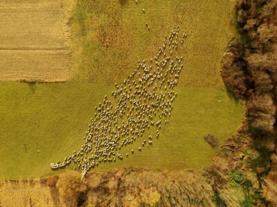 Volim svoju županiju