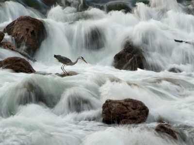 Volim svoju županiju