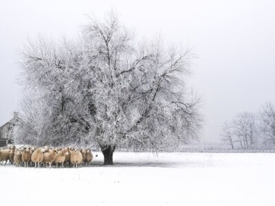 Volim svoju županiju
