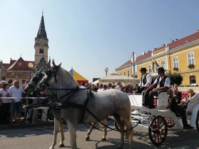 Vozočašće u Mariju Bistrici