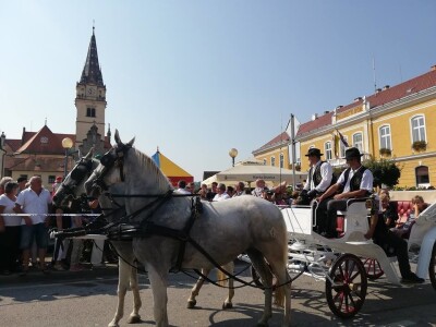 Vozočašće u Mariju Bistrici