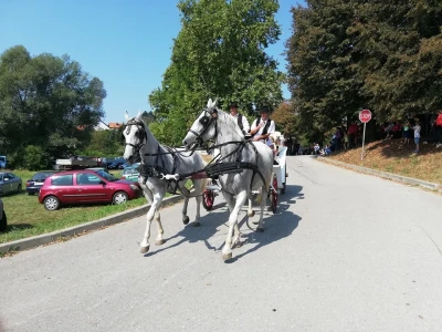 Vozočašće u Mariju Bistrici