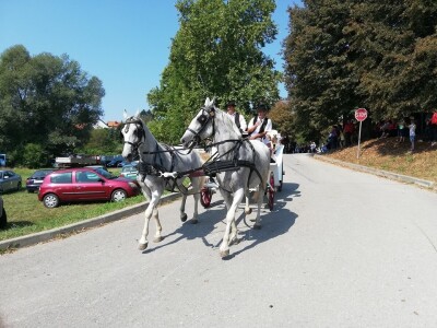 Vozočašće u Mariju Bistrici