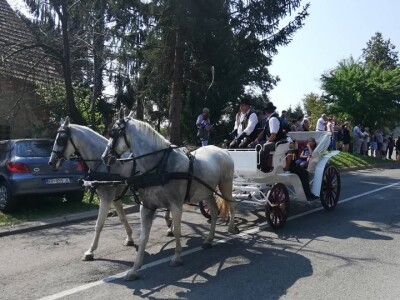 Vozočašće u Mariju Bistrici