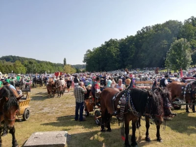 Vozočašće u Mariju Bistrici
