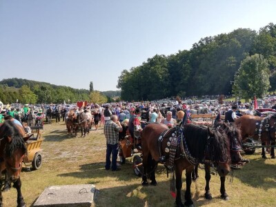 Vozočašće u Mariju Bistrici