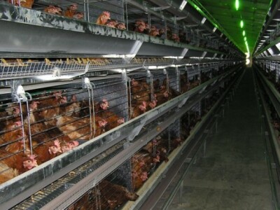 Poljoprivreda u zaleđu Biograda i Šibenika