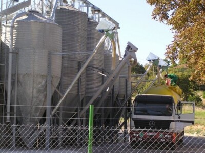 Poljoprivreda u zaleđu Biograda i Šibenika