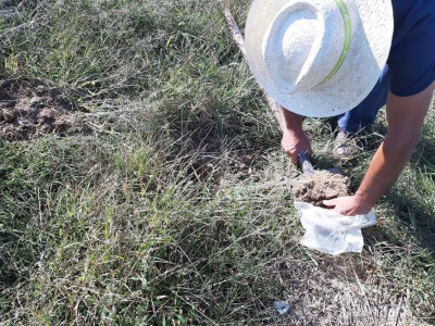 Analiza zemljišta Analiza zemljišta