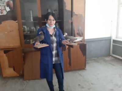 vranje- poljoprivredno - veterinarska škola