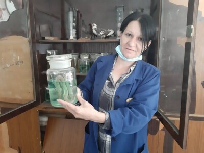 vranje- poljoprivredno - veterinarska škola