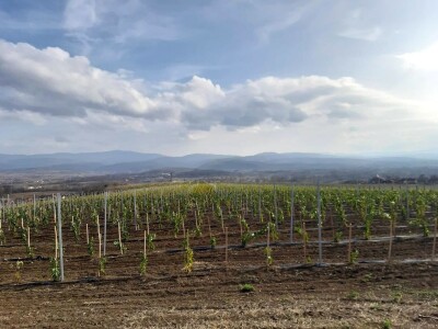 vranje- poljoprivredno - veterinarska škola