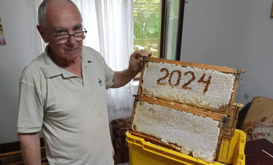 Zoran sa saćem