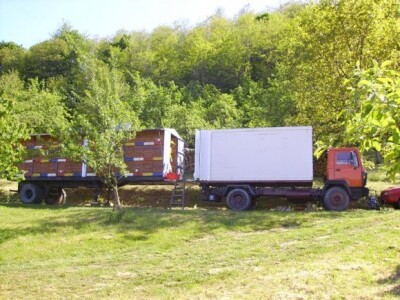 Najveće pčelinje gospodarstvo u Hrvatskoj