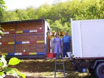 Najveće pčelinje gospodarstvo u Hrvatskoj