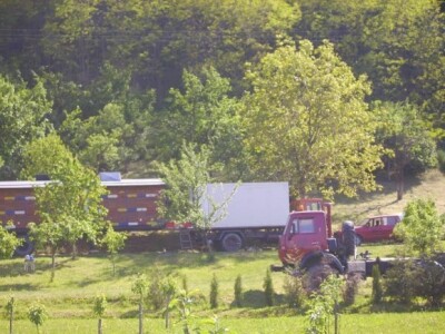 Najveće pčelinje gospodarstvo u Hrvatskoj