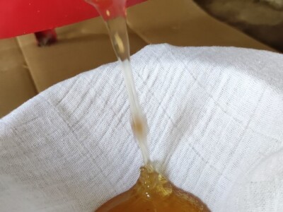 Vrcanje bagremovog meda