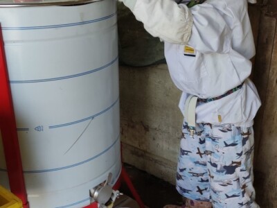 Vrcanje bagremovog meda