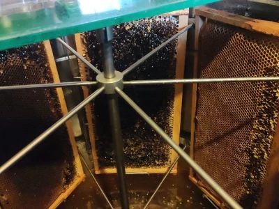 Vrcanje bagremovog meda