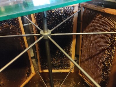 Vrcanje bagremovog meda