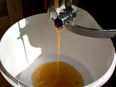 Vrcanje meda