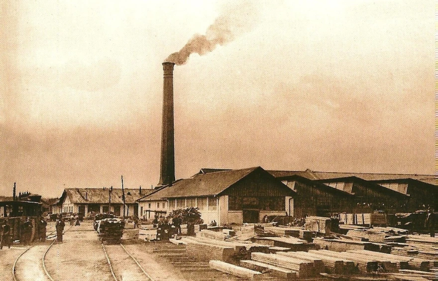 Vremeplov - Gutmann - Beli&scaron;će