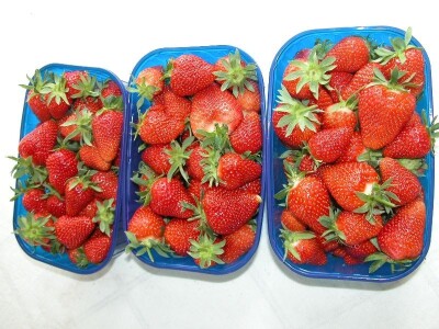 Krupne vrgoračke jagode