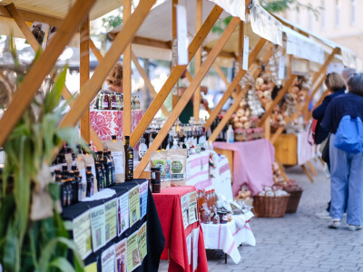 Vrijedne ruke žena u ruralnom prostoru Grada Zagreba