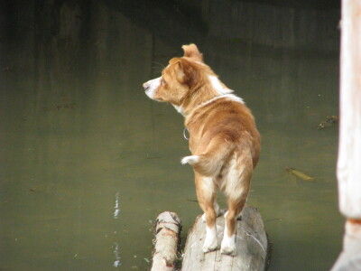 Vrijedni Orahovci već kreću sa proljetnom sjetvom