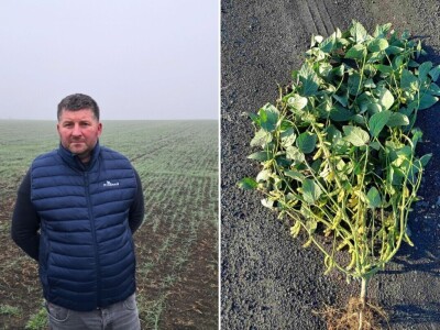 OPG Damir Marošević iz Čepina