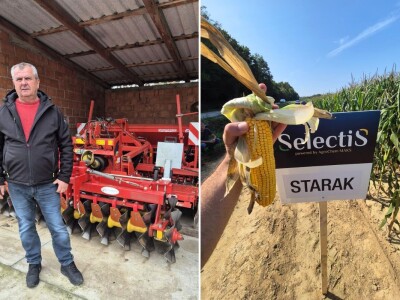 Poljoprivrednici sve više siju SelectiS hibride kukuruza