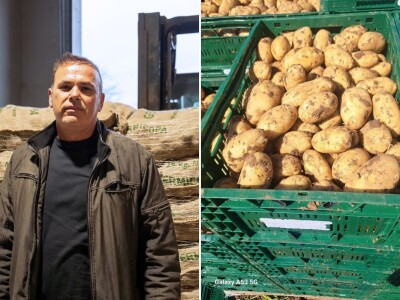 AgroVelebit svijet krumpira