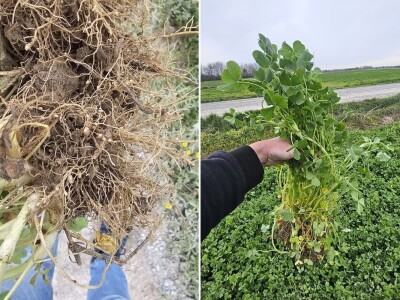 Farma Bilodar d.o.o. u Gudovcu