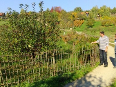 Voćnjak s oko 600 stabala raznog voća