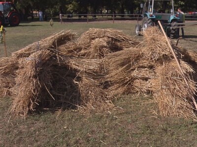 Vršaj žita nekad i sad