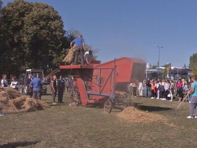Vršaj žita nekad i sad