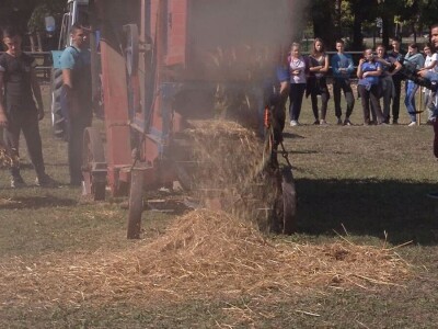 Vršaj žita nekad i sad